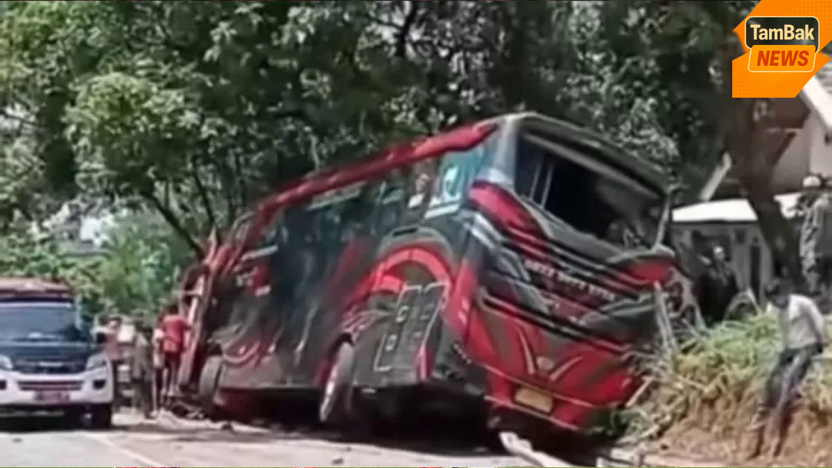 Korban Kecelakaan Bus Wisata di Probolinggo Berisi Rombongan Karyawan RS Bina Sehat Jember