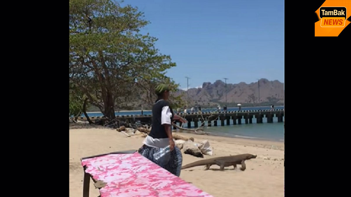 Viral! Emak-Smak Usir Komodo Tanpa Takut, Netizen: Ras Terkuat di Bumi