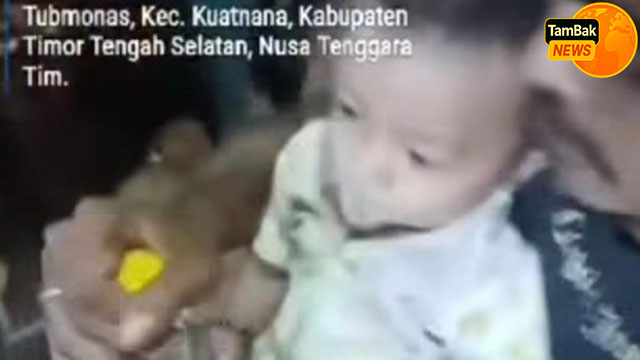 viral ayah di NTT paksa anak 11 bulan minum miras